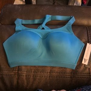Victoria’s Secret Incredible Max High Impact Sports Bra 32DD NWT Blue